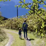 Trento con bambini: musei interattivi, parchi e attività outdoor